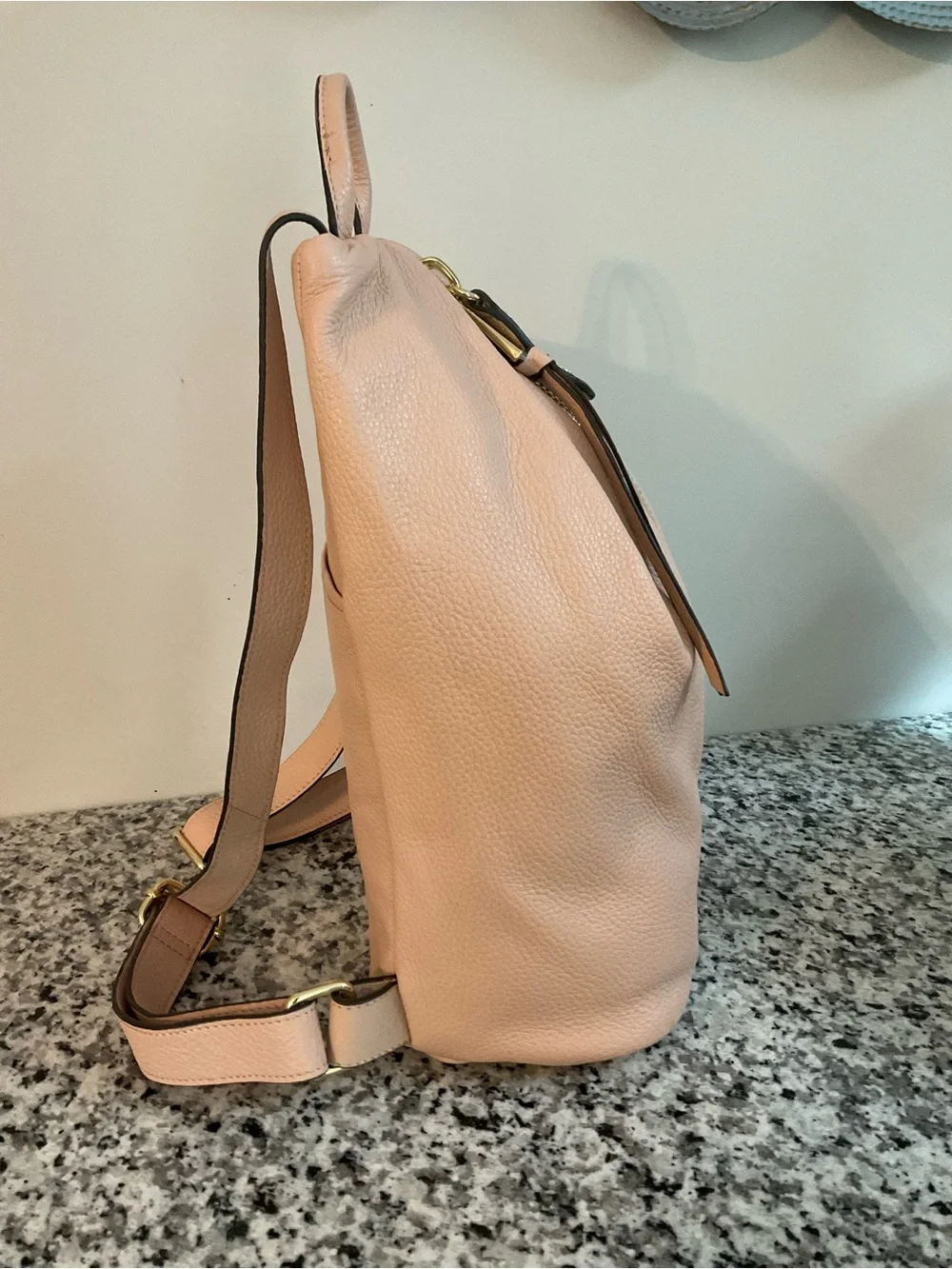 Aimee Kestenberg Tamitha Pink/Cream Leather Backpack with Gold Zip Detail NWOT